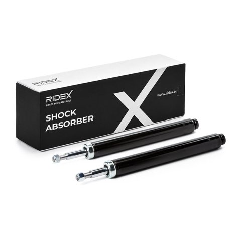 Ridex 854S20935 Shock Absorber