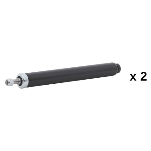 Ridex 854S20935 Shock Absorber, photo 2
