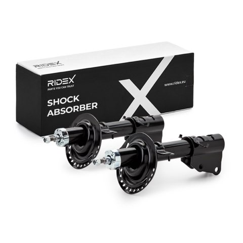 Ridex 854S20960 Shock Absorber
