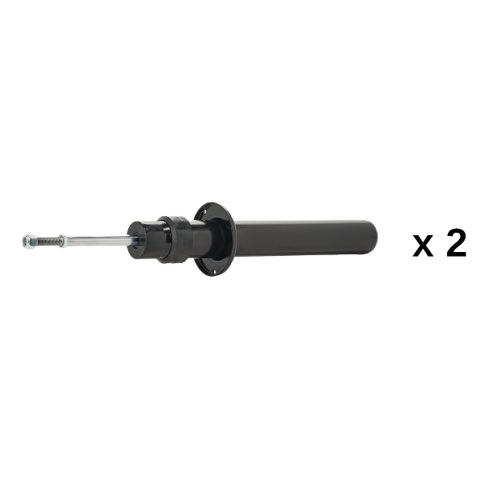 Ridex 854S20962 Shock Absorber