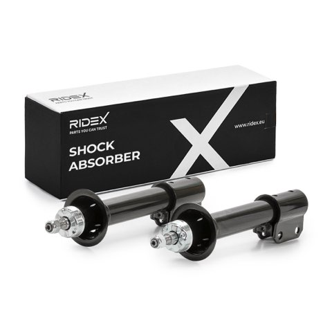 Ridex 854S20969 Shock Absorber