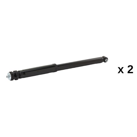 Ridex 854S20974 Shock Absorber
