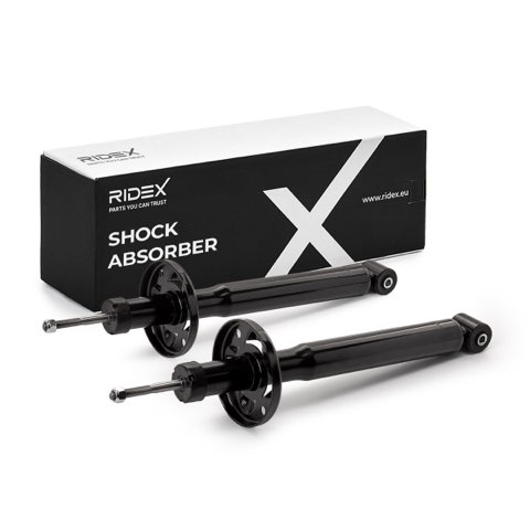 Ridex 854S20975 Shock Absorber