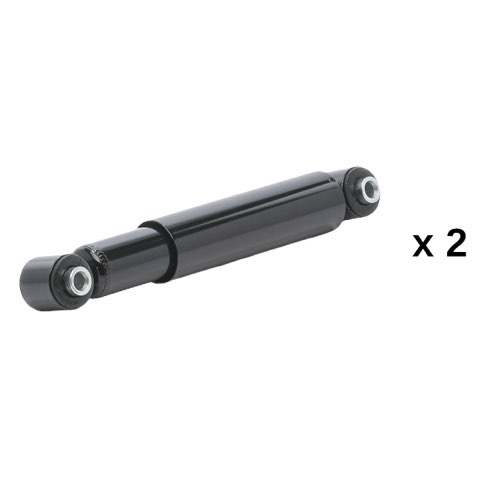 Ridex 854S20977 Shock Absorber, photo 2