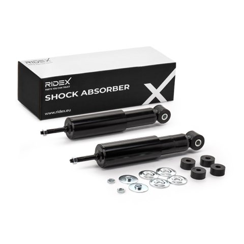 Ridex 854S20979 Shock Absorber