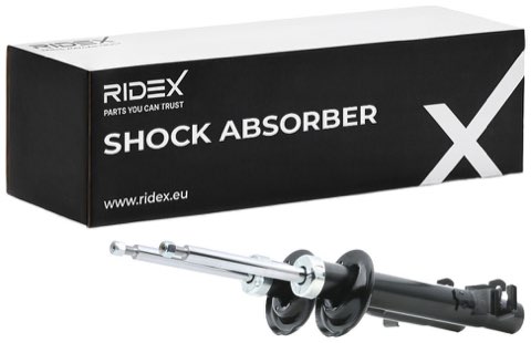 Ridex 854S2098 Shock Absorber, photo 2