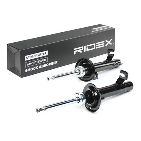 Ridex 854S2098 Shock Absorber, photo 3