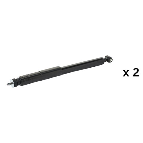 Ridex 854S20997 Shock Absorber