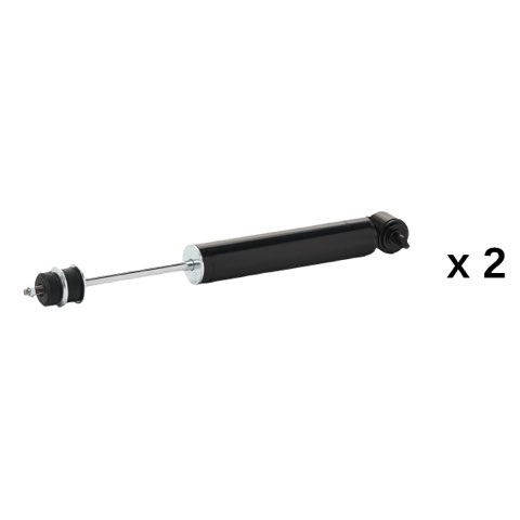 Ridex 854S20998 Shock Absorber, photo 2