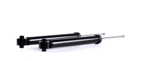 Ridex 854S2103 Shock Absorber