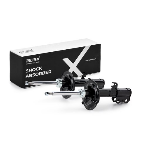 Ridex 854S21036 Shock Absorber