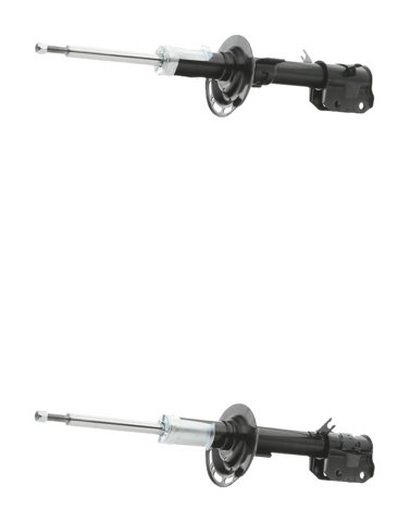 Ridex 854S21051 Shock Absorber