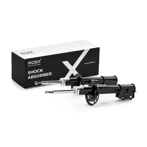 Ridex 854S21061 Shock Absorber