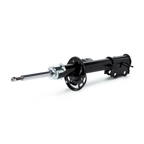 Ridex 854S21061 Shock Absorber, photo 3
