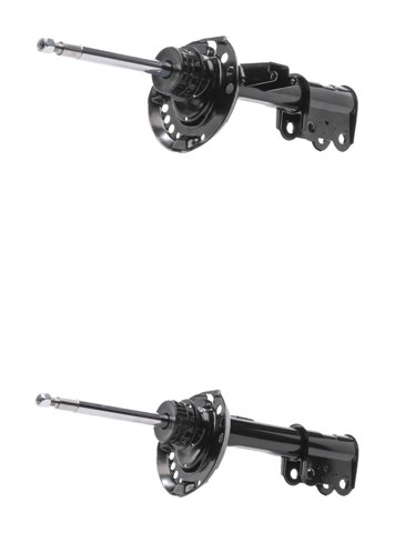 Ridex 854S21062 Shock Absorber, photo 2