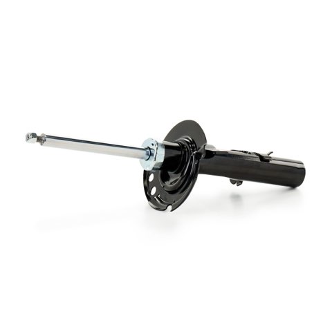 Ridex 854S21070 Shock Absorber, photo 3