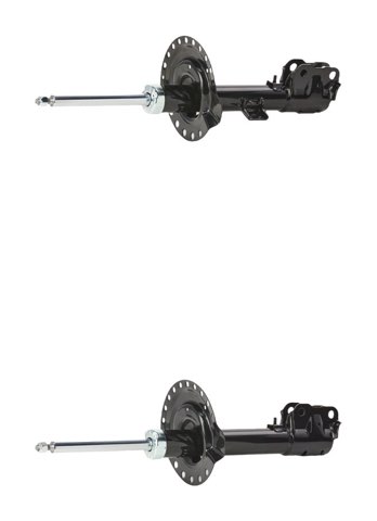 Ridex 854S21073 Shock Absorber