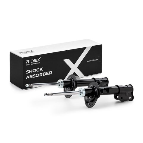 Ridex 854S21076 Shock Absorber