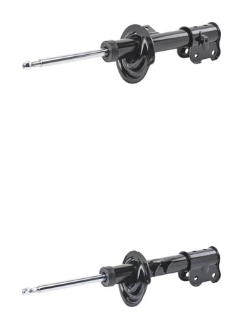 Ridex 854S21076 Shock Absorber, photo 2