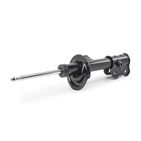 Ridex 854S21076 Shock Absorber, photo 3