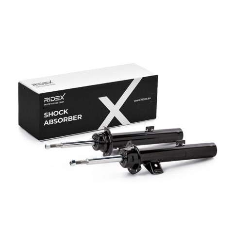 Ridex 854S21078 Shock Absorber
