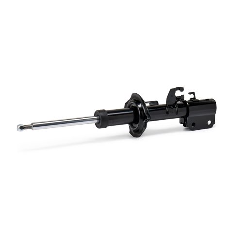 Ridex 854S21079 Shock Absorber, photo 2