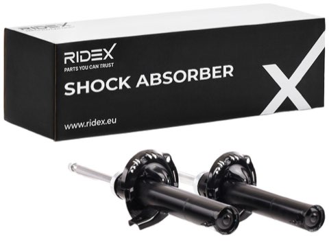 Ridex 854S2108 Shock Absorber, photo 2
