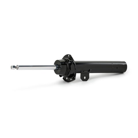Ridex 854S21082 Shock Absorber, photo 3