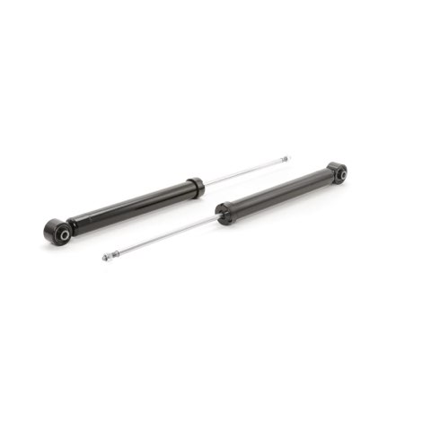 Ridex 854S2110 Shock Absorber