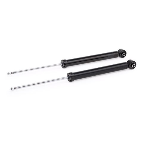 Ridex 854S2110 Shock Absorber, photo 3