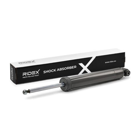 Ridex 854S21119 Shock Absorber