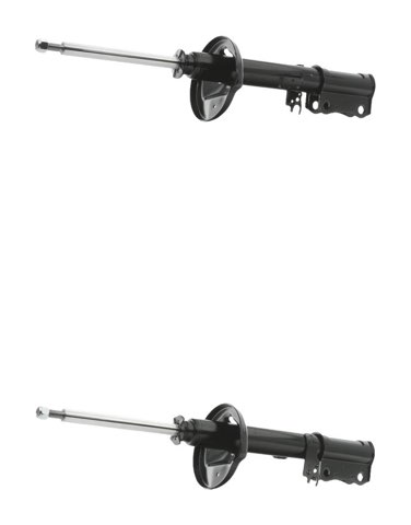 Ridex 854S21160 Shock Absorber