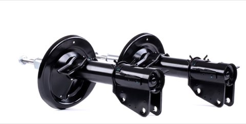 Ridex 854S2135 Shock Absorber