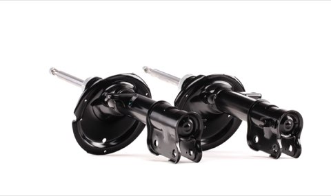 Ridex 854S2136 Shock Absorber