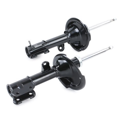 Ridex 854S2136 Shock Absorber, photo 3