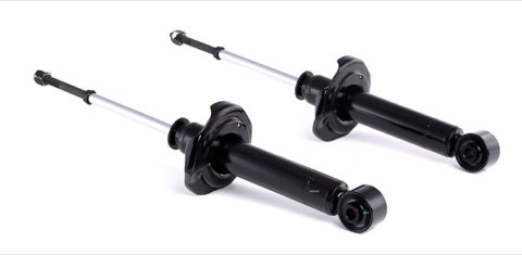 Ridex 854S2139 Shock Absorber