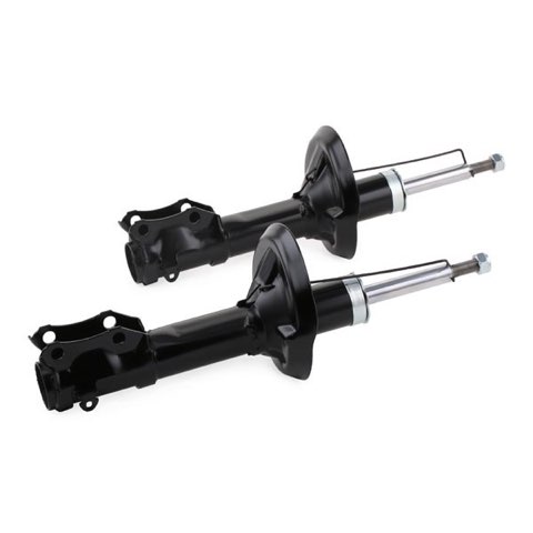 Ridex 854S2140 Shock Absorber, photo 2