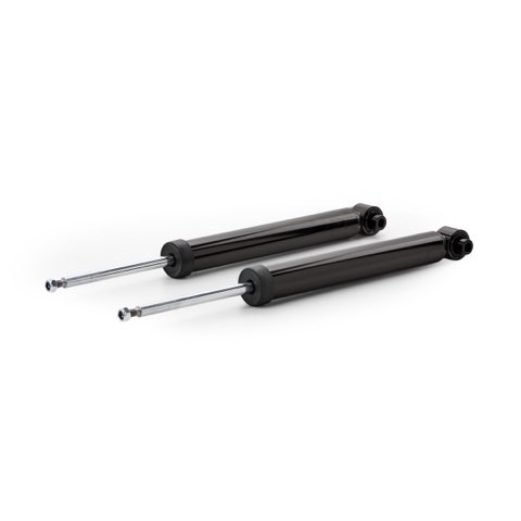 Ridex 854S21603 Shock Absorber, photo 2