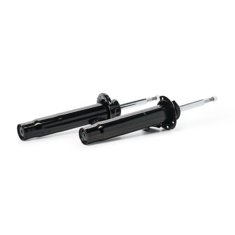 Ridex 854S2165 Shock Absorber, photo 3
