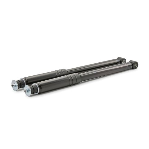 Ridex 854S21799 Shock Absorber, photo 2