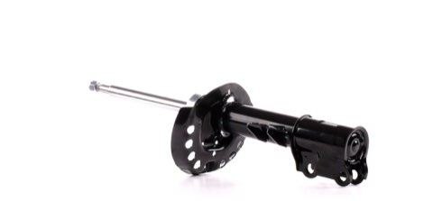 Ridex 854S2183 Shock Absorber