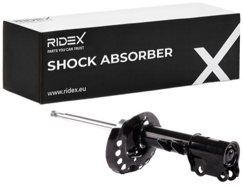 Ridex 854S2183 Shock Absorber, photo 2