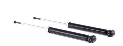 Ridex 854S2184 Shock Absorber
