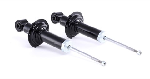 Ridex 854S2185 Shock Absorber