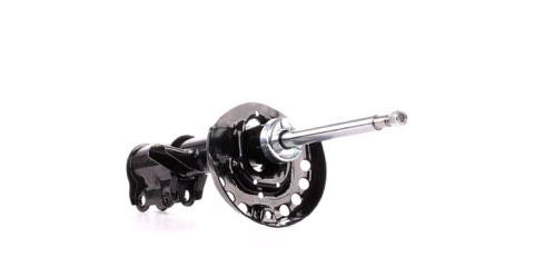 Ridex 854S2190 Shock Absorber