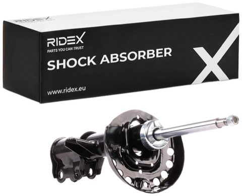 Ridex 854S2190 Shock Absorber, photo 2
