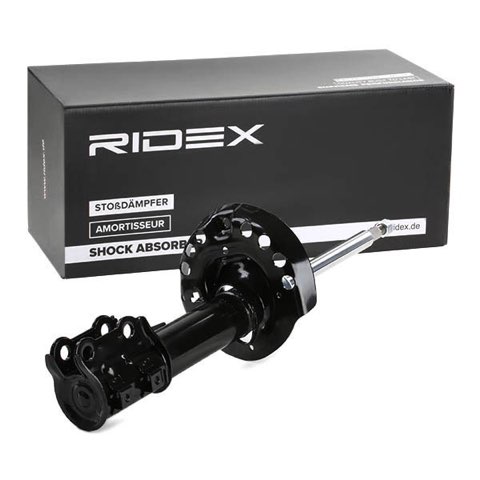 Ridex 854S2190 Shock Absorber, photo 3