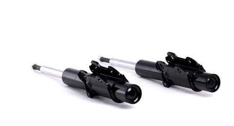 Ridex 854S2198 Shock Absorber