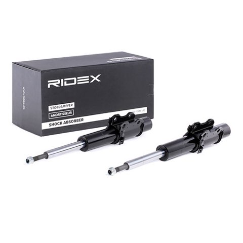 Ridex 854S2198 Shock Absorber, photo 3