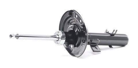 Ridex 854S2200 Shock Absorber